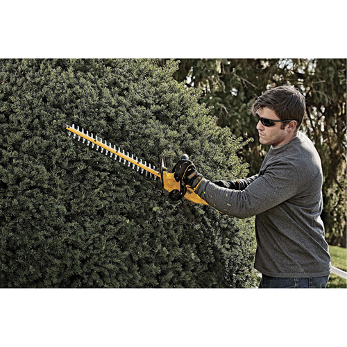 Taille-haie sans fil Max, 22", 20 V, &agrave; pile OSI Industrial Sales