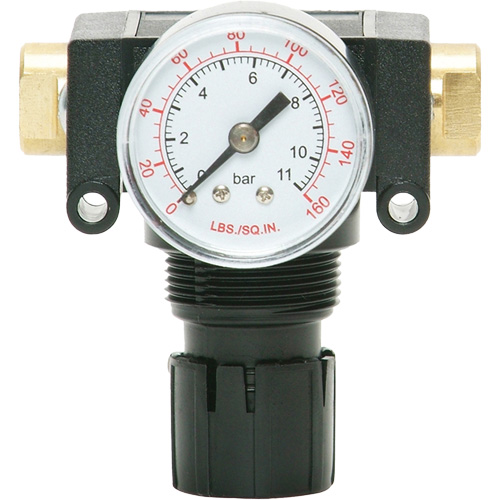 MODULAIR 200 Acetal Piston Regulator, 1/4" NPT, 150 PSI Max. PSI, In Line/Modular OSI Industrial Sales