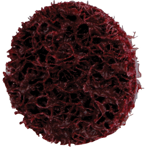 Disque de conditionnement de surface &agrave; remplacement rapide Standard Abrasives, 3/4" dia., Grain Moyen, Oxyde d'aluminium OSI Industrial Sales