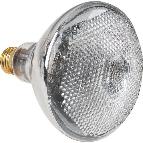 Lampes &agrave; incandescence &eacute;conomiques OSI Industrial Sales