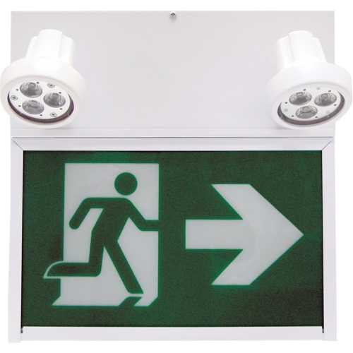 Running Man Exit Sign, LED, Battery Operated/Hardwired, 12" L x 12 1/2" W, Pictogram OSI Industrial Sales