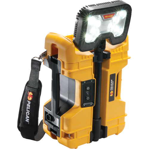 Syst&egrave;mes d'&eacute;clairage &agrave; distance 9480, DEL, 41,1 W, 4000 lumens, Boîtier en Plastique OSI Industrial Sales