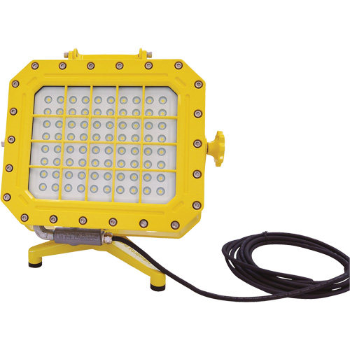 Explosion Proof Floodlight with Floor Stand, LED, 40 W, 5600 Lumens, Aluminum Housing OSI Industrial Sales