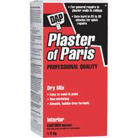 Plaster of Paris Dry Mix, 2 kg, Box OSI Industrial Sales
