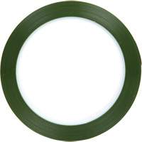 Ruban en polyester, Polyester, 25,4 mm (1") la x 66 m (216') lo, 1,9 mils &eacute;pais OSI Industrial Sales