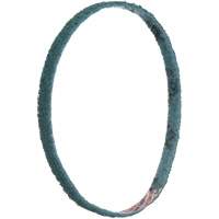 Courroies de traitement des surfaces Scotch-Brite OSI Industrial Sales