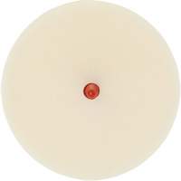 Scotch-Brite Moulding Adhesive & Stripe Removal Disc, 7501, 4" Dia. OSI Industrial Sales