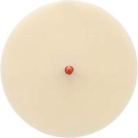 Scotch-Brite Moulding Adhesive and Stripe Removal Disc 7502, 6" Dia. OSI Industrial Sales
