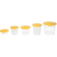 Plastic Bulk Containers