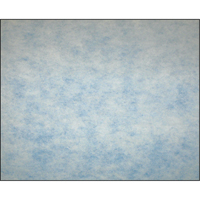 High-Arrestance Synthetic Media Filters, Pad, MERV 5, 24" W x 2" D x 12" H OSI Industrial Sales