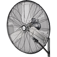 Ventilateur mural oscillant, Industriel, 2 vitesses, Diam&egrave;tre de 30" OSI Industrial Sales