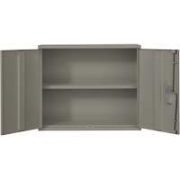 Wall Mounted Cabinet, Steel, 2 Shelves, 30" H x 36" W x 12" D, Grey OSI Industrial Sales
