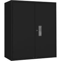 Lo-Boy Storage Cabinet, Steel, 2 Shelves, 42" H x 36" W x 18" D, Black OSI Industrial Sales