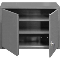 Wall-Mounted Cabinet, 27" H x 29-7/8" W x 13-11/16" D, 2 Shelves, Steel, Grey OSI Industrial Sales