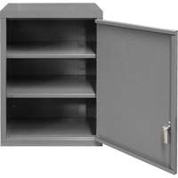 Wall-Mounted Cabinet, 27" H x 13-11/16" W x 18" D, 2 Shelves, Steel, Grey OSI Industrial Sales
