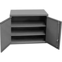 Wall-Mounted Cabinet, 27" H x 13-11/16" W x 35-7/8" D, 2 Shelves, Steel, Grey OSI Industrial Sales