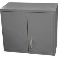Wall-Mounted Cabinet, 27" H x 13-11/16" W x 35-7/8" D, 2 Shelves, Steel, Grey OSI Industrial Sales