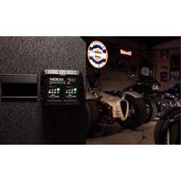 Genius&reg; 2X2 2-Bank, 4-Amp Battery Charger OSI Industrial Sales