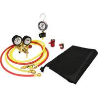 Automotive A/C Nitrogen Leak Test Kit with Regulator OSI Industrial Sales