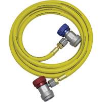 R134a A/C System Flush Hose Assembly OSI Industrial Sales