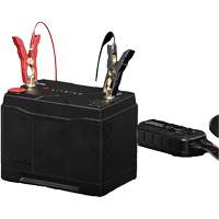 Batterie au lithium &agrave; double usage de groupe 24, 90 Ah OSI Industrial Sales