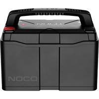 Batterie lithium-ion LiFePO4 &agrave; double usage de groupe 31, 120 Ah OSI Industrial Sales