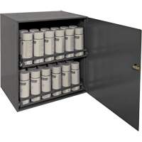 Armoire de rangement pour contenants a&eacute;rosol, Acier, 21-7/8" h x 15-15/16" la x 20-5/16" P, Gris OSI Industrial Sales