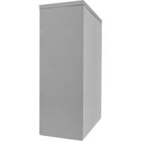 Counter-High Storage Cabinet, Steel, 2 Shelves, 42" H x 30" W x 15" D, Grey OSI Industrial Sales