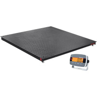 Balances de plancher Defender 3000, Capacit&eacute; de 5000 lb, 4' lo x 4' la OSI Industrial Sales