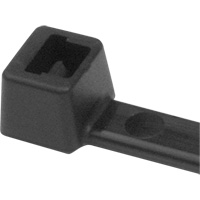 Attaches de c&acirc;ble PA66, Longueur 5-1/2", R&eacute;sistance &agrave; la traction 18 lb, Noir OSI Industrial Sales