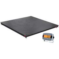 Balance de plancher DEFENDER 3000, Capacit&eacute; de 2500 lb, 48" la x 48" lo OSI Industrial Sales