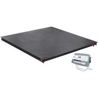 Balance de plancher DEFENDER 5000, Capacit&eacute; de 2500 lb, 48" la x 48" lo OSI Industrial Sales