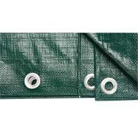 Tarp, Heavy-Duty, Green, 8' x 6' x 9 mils OSI Industrial Sales