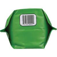 Nettoyant pour les mains biod&eacute;gradable, Poudre, 4,5 lb, Pochette, Sans parfum OSI Industrial Sales