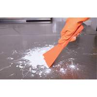 Racloir manuel grand format, Rose, 4" la x 10" lo OSI Industrial Sales