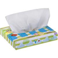 Kleenex&reg; Junior Facial Tissues, 2 Ply, 8.4" L x 5.5" W, 40 Sheets/Box OSI Industrial Sales