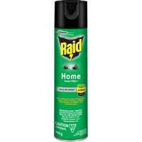 Insecticide pour insectes domestiques Raid, 350 g, &agrave; base de solvant OSI Industrial Sales