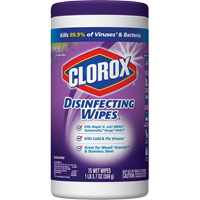 Disinfecting Wipes, 75 Count OSI Industrial Sales