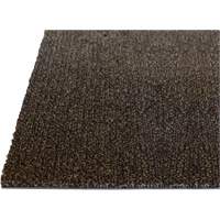 Tapis dint&eacute;rieur Palliser, Essuie-pieds/grattoir, 3-1/2' x 6' x 5/16", Anglis OSI Industrial Sales