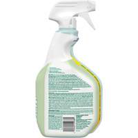 CloroxPro Clorox EcoClean Disinfecting Cleaner, 946 ml, Trigger Bottle OSI Industrial Sales