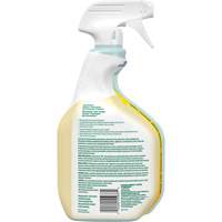 CloroxPro Clorox EcoClean All-Purpose Cleaner, 946 ml, Trigger Bottle OSI Industrial Sales