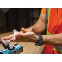 Individually Wrapped Cleaning Wipes, 12 Wipes, 8" x 9-1/2" OSI Industrial Sales