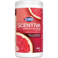 Disinfecting Wipes, 75 Count OSI Industrial Sales