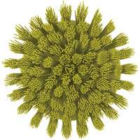 HyDrive Round Drill Brush, Extra Stiff Bristles, 3-1/10" Long, Yellow OSI Industrial Sales