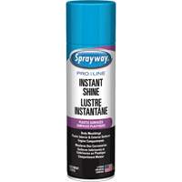Pro Line Instant Shine for Plastic Surfaces, 11 oz., Aerosol Can OSI Industrial Sales