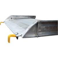 Rampe de promenade en aluminium, Capacit&eacute; de 1000 lb, 38" la x 193-1/8" lo OSI Industrial Sales