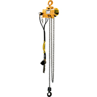 Budgit&reg; Air Chain Hoists OSI Industrial Sales