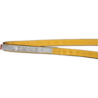 &eacute;lingues de levage en polyester, Pli Simple, Sans fin, Type 5, 2" la x 3' lo, Capacit&eacute; verticale 6200 lb OSI Industrial Sales