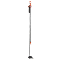 Mini palan &agrave; levier, Lev&eacute;e 15', Cabacit&eacute; 500 lb (0,25 tonne), Chaîne en Acier OSI Industrial Sales