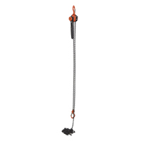 Mini palan &agrave; levier, Lev&eacute;e 15', Cabacit&eacute; 1000 lb (0,5 tonne), Chaîne en Acier OSI Industrial Sales